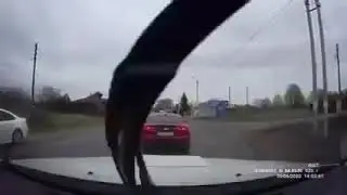 Штрих код на лбу скота!