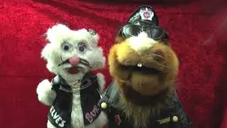 Puppet Patch in Burt and CindyGal - Concert Security. Stupid Muppet Puppet!