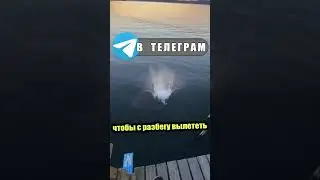 Смертельный дайвинг
