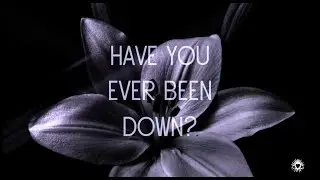 The Verve - Bitter Sweet Symphony [Lyrics]