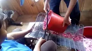 ЛЁГКИЙ СПОСОБ ПЕРЕБРАТЬ БРУСНИКУ