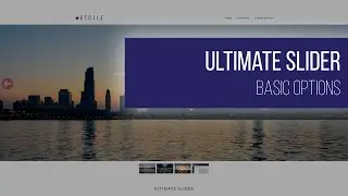 Ultimate Slider - Basic Options - WordPress Plugin