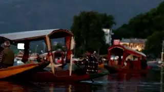 Beautiful Dal Lame Shikara at Srinagar, Jammu and Kashmir