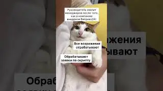 Как влияет на команду внедрение Битрикс24🏆 
