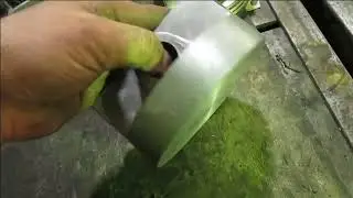 Первый запуск с новыми поршнями