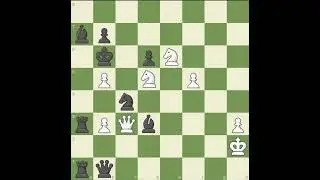 Мат в 18 ходов! #шахматы #chess ТГК с задачами в профиле