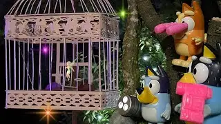 Bluey Toys Catch Real Fairies on Camera🧚🏻
