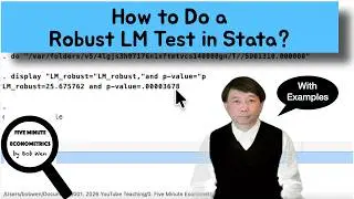 How to Do a Robust LM Test in Stata? |【Five Minute Econometrics】Topic 72