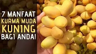 7 Manfaat Kurma Muda Kuning yang Jarang Anda Tahu!
