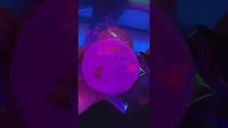 Печенье с золотом