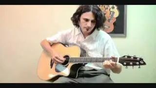 Breedlove Stage D25/SRe