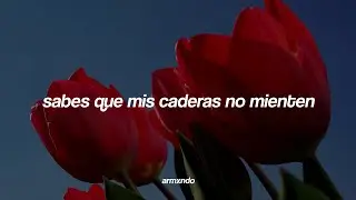 Shakira — Hips Don't Lie (ft. Wyclef Jean) [Sub. Español]