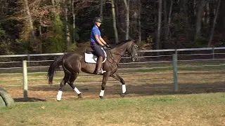 Sir Daniel 10 30 24 field