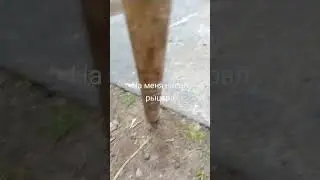 #музыка #гномы #боже #тренд #существа #рыцари #мем #юмор #прикол #жиза
