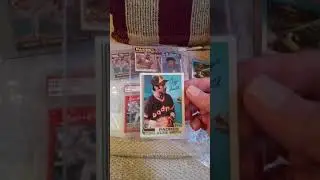 PSA Slabs & More! Ebay Bargain Auction Win!