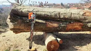 29 years old Legend - Stihl 064