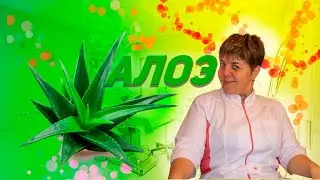 🌿 Почему алоэ - идеальное решение для здоровья и красоты❗️