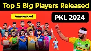 Top 5 Biggest Players Released In PKL Season 11