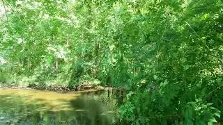 4k 60 fps video test gopro hero9 black