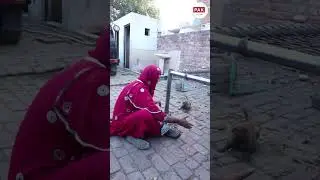 پنکی کے گھر ایا نیا مہمان
