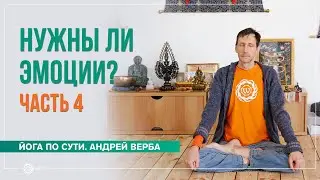 Эмоции: нужны ли они? Ответы на вопросы на випассане. Часть 4
