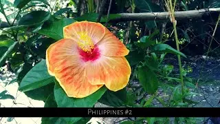 Philippines Vlog #2
