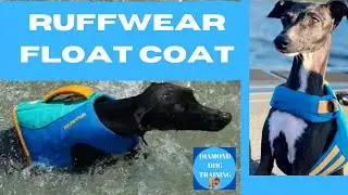 Ruffwear Float Coat Life Jacket Keep Your Dog Safe In The Water