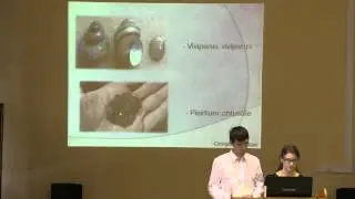 Конференция Индикация 2015 - [1/22]
