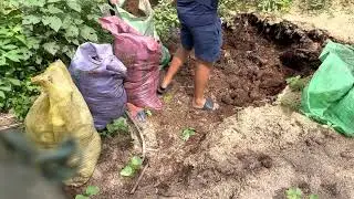Finding Suitable Materials: Planting Onions