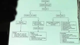 Rheumatology Part 3