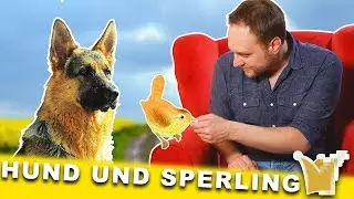 Der Hund und der Sperling - Märchen für Kinder und Erwachsene