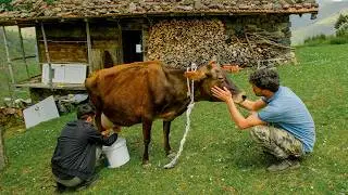 First Migration of the Year - Journey from Village to Village | Documentary ▫️4K▫️