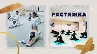 Ансамбль эстрадного танца 