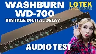 Washburn WD700 Digital Delay (Mid 1980s Effect) Audio Test