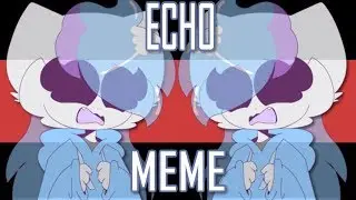 echo // animation meme } FLASH WARNING