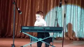 Плужников Данил (синтезатор) 