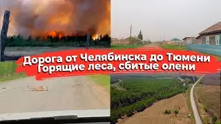 ДОРОГИ В РОССИИ ► Обзор дорог в России | Краткий обзор трассы | Региональная трасса Р-330 М-51