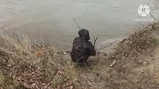 Сосиски на костре.