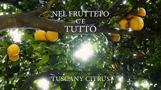 Nel Frutteto C’è Tutto | Shot on BMPCC 6K