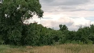 Поездка в детство... Новые знакомства..🦌. Впечатления...👧🏼