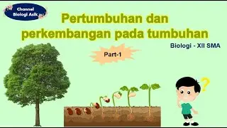 Pertumbuhan dan perkembangan pada tumbuhan part 1 - Biologi kelas 12 SMA