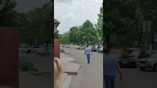 День победы СКОРБИ И ПЕЧАЛИ.
