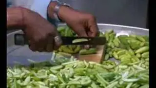 BIO-GAS FROM CANTEEN WASTE