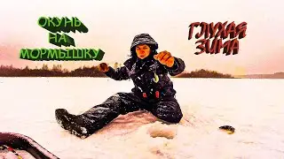 Рыбалка так себе   главное отдых и чистый воздух