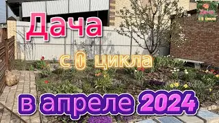 В апреле 2024