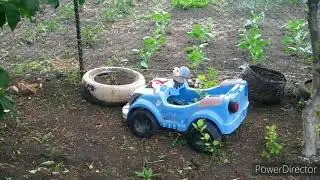 Вышивка. Посадки. Огород)))