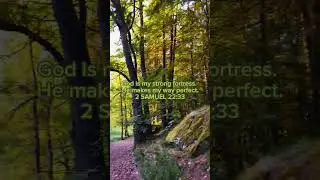 #bible