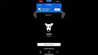 DOGS / Как вывести токен #DOGS на биржу Байбит. Видео инструкция