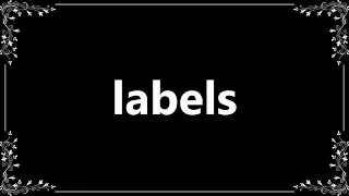 Labels - Definition and How To Pronounce