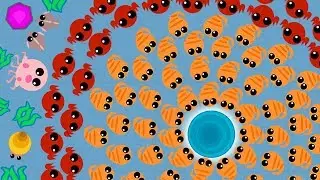 MOPE.IO CRAZY FLASHMOB SHRIMP SUCCESSFUL GATHERING TOOK PLACE IN THE GAME MOPE IO